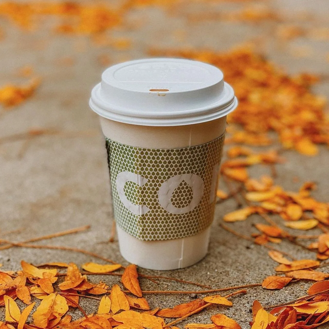 Convive Coffee Roastery in Mars, PA (5)
