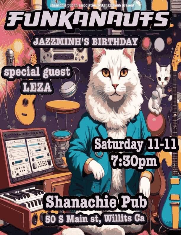 Shanachie Pub in Willits, CA (3)