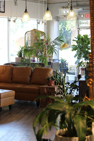 Ash & Willow Eco Salon and Beauty Apothecary in Park Ridge, IL