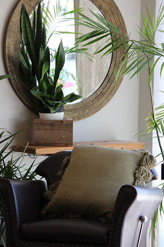 Ash & Willow Eco Salon and Beauty Apothecary in Park Ridge, IL (2)