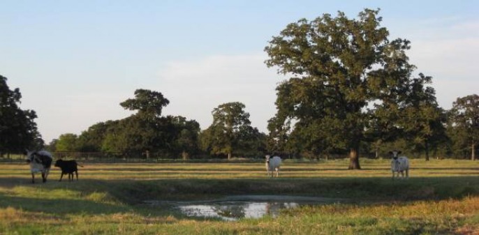 D K Land Co in Hearne, TX