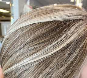Aacardi the Salon in St. Petersburg, FL (2)