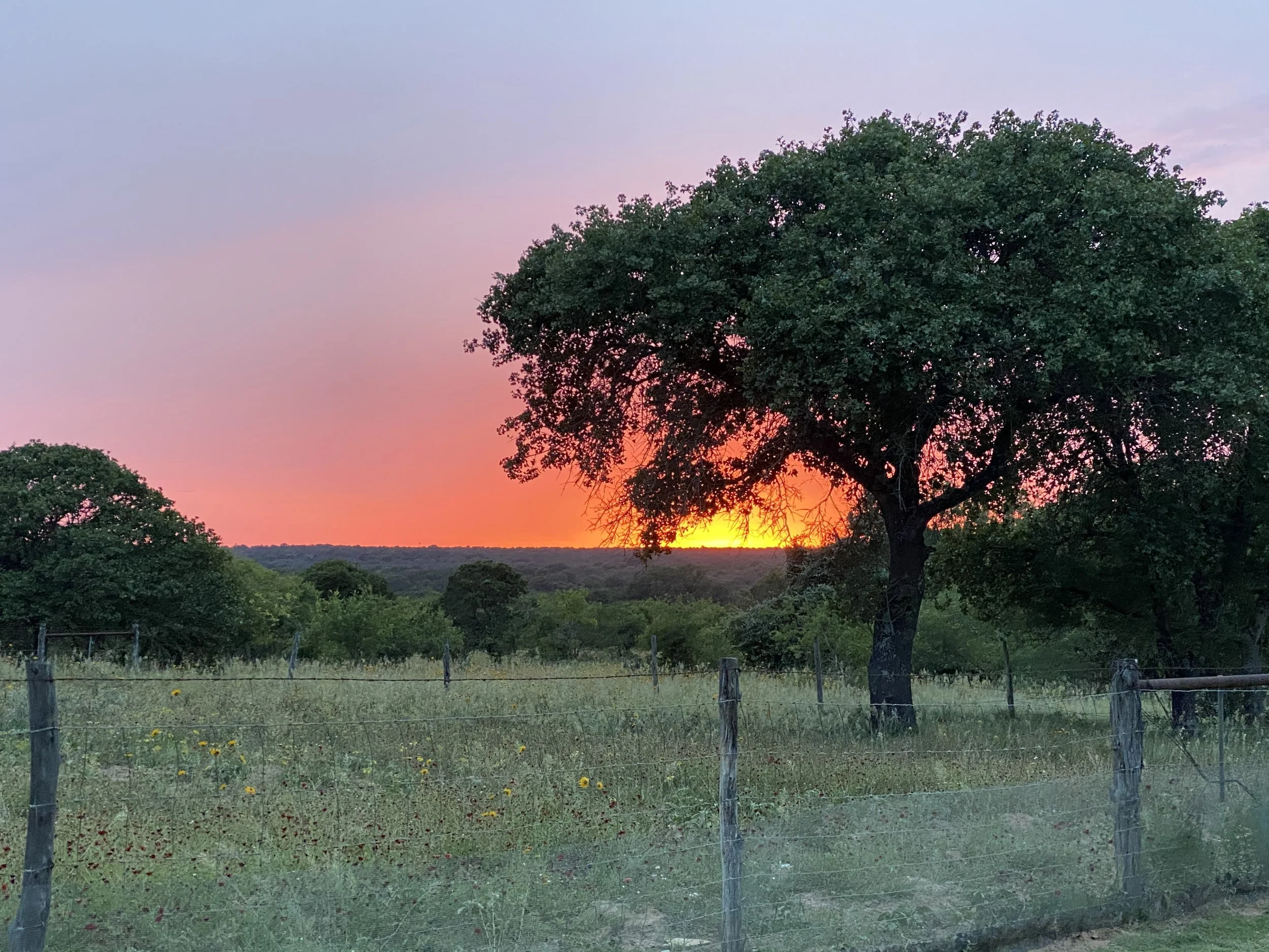Brush Country Real Estate in Lytle, TX (4)
