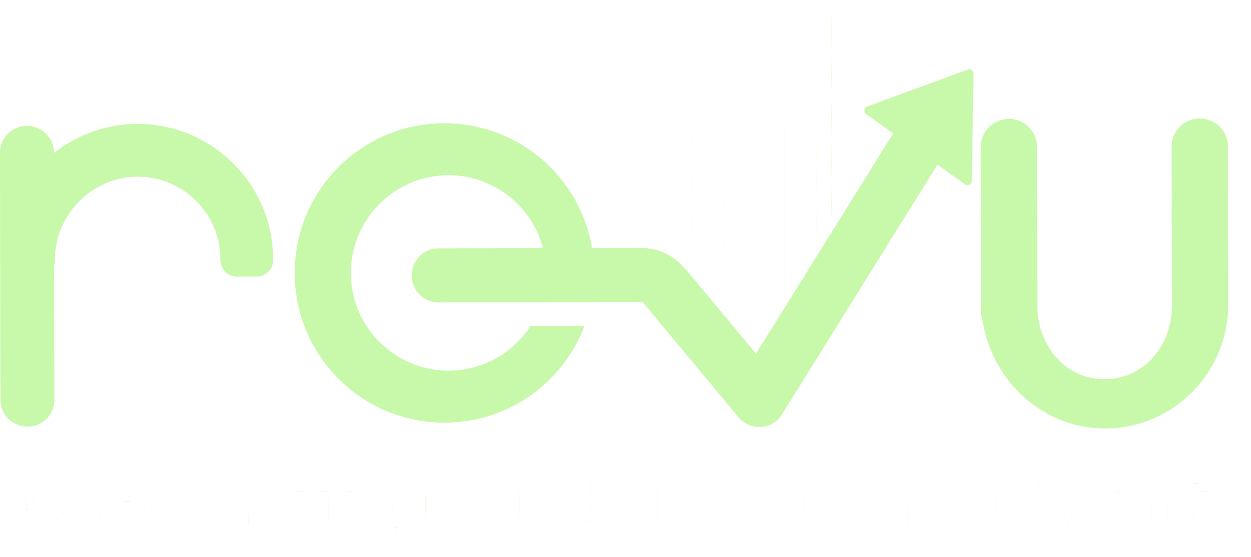 RevuBooks Accounting in Bloomingdale, IL
