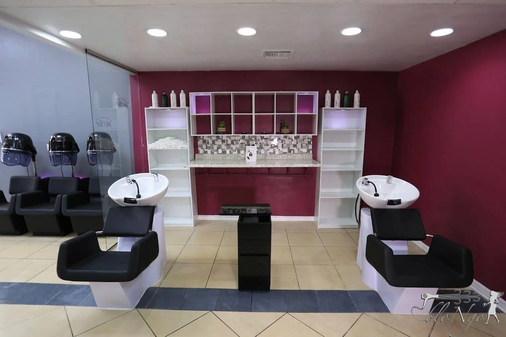 BloNgo Tampa Blowdry Bar Salon & Suites in Wesley Chapel, FL (4)