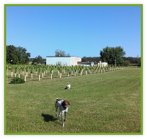 Rushford Meadery and Winery in Omro, WI (2)