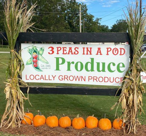Three Peas in a Pod - Loganville in Loganville, GA (2)