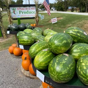 Three Peas in a Pod - Loganville in Loganville, GA (6)