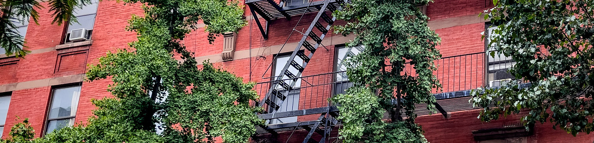 Soler Realty NYC in Bronx, NY (2)