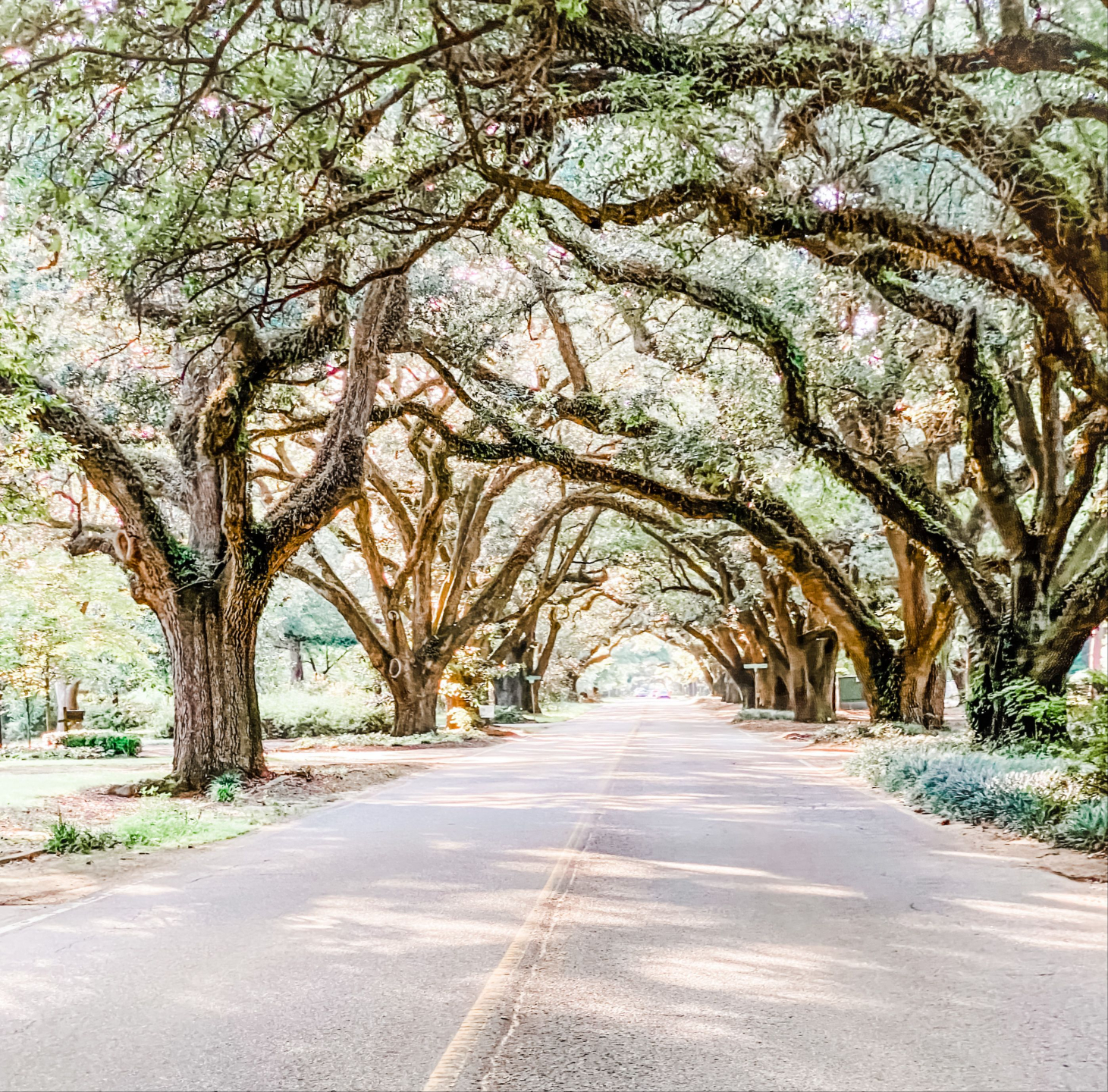 Lindsey Vance, REALTOR® in Aiken, SC