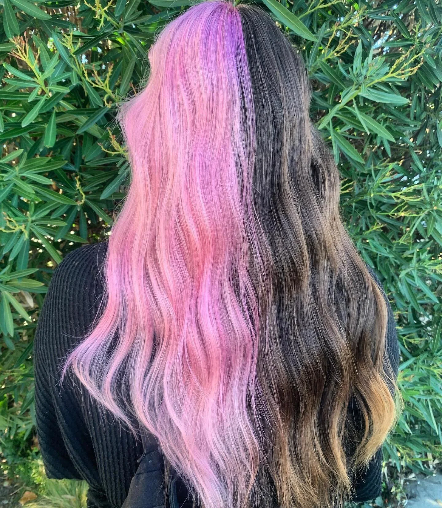 Rage Salon in Campbell, CA