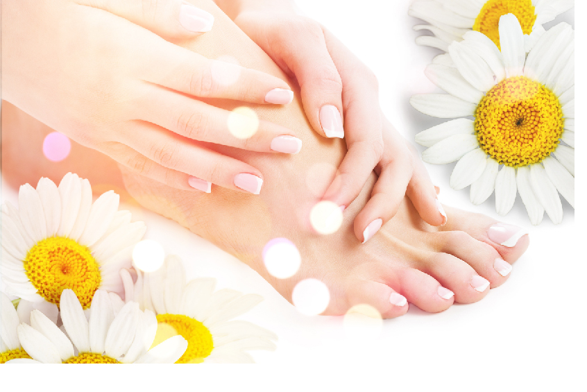 NJ NAILS SPA in Novato, CA (3)