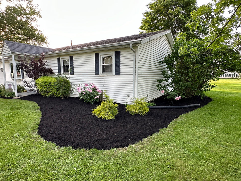 Black Swamp Lawncare LLC in Van Wert, OH (3)