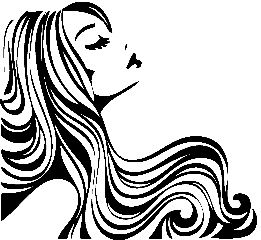 Sleek Hair Salon in Stow, OH
