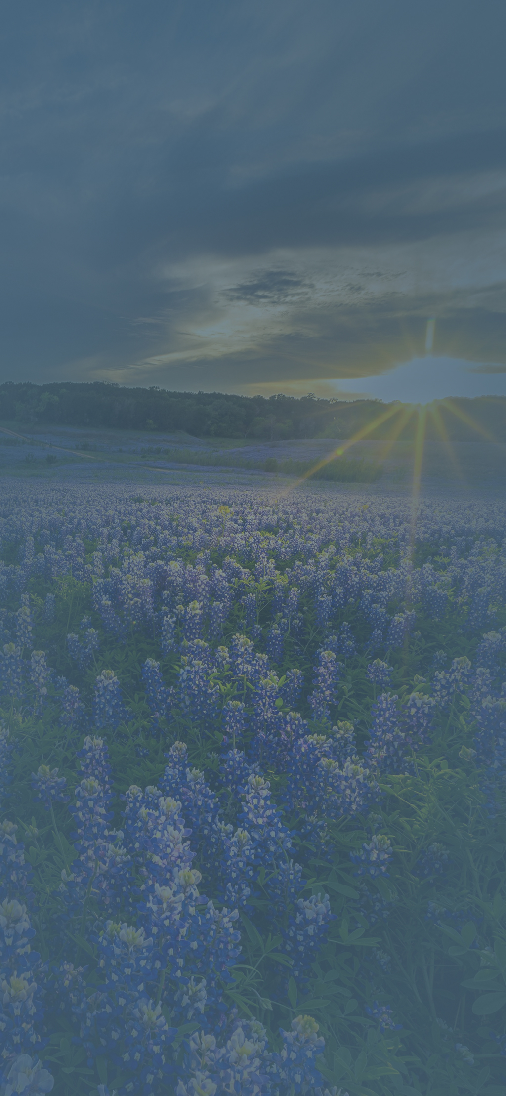 The Tisdale Law Firm, PLLC in Temple, TX (3)