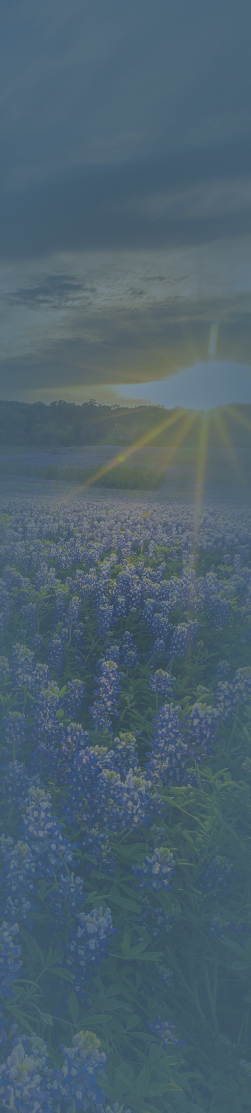 The Tisdale Law Firm, PLLC in Temple, TX (6)