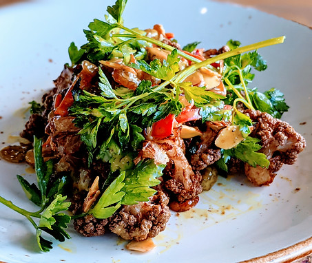 The Little Lamb Gastropub in Clearwater, FL (4)