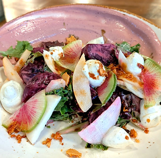 The Little Lamb Gastropub in Clearwater, FL (6)