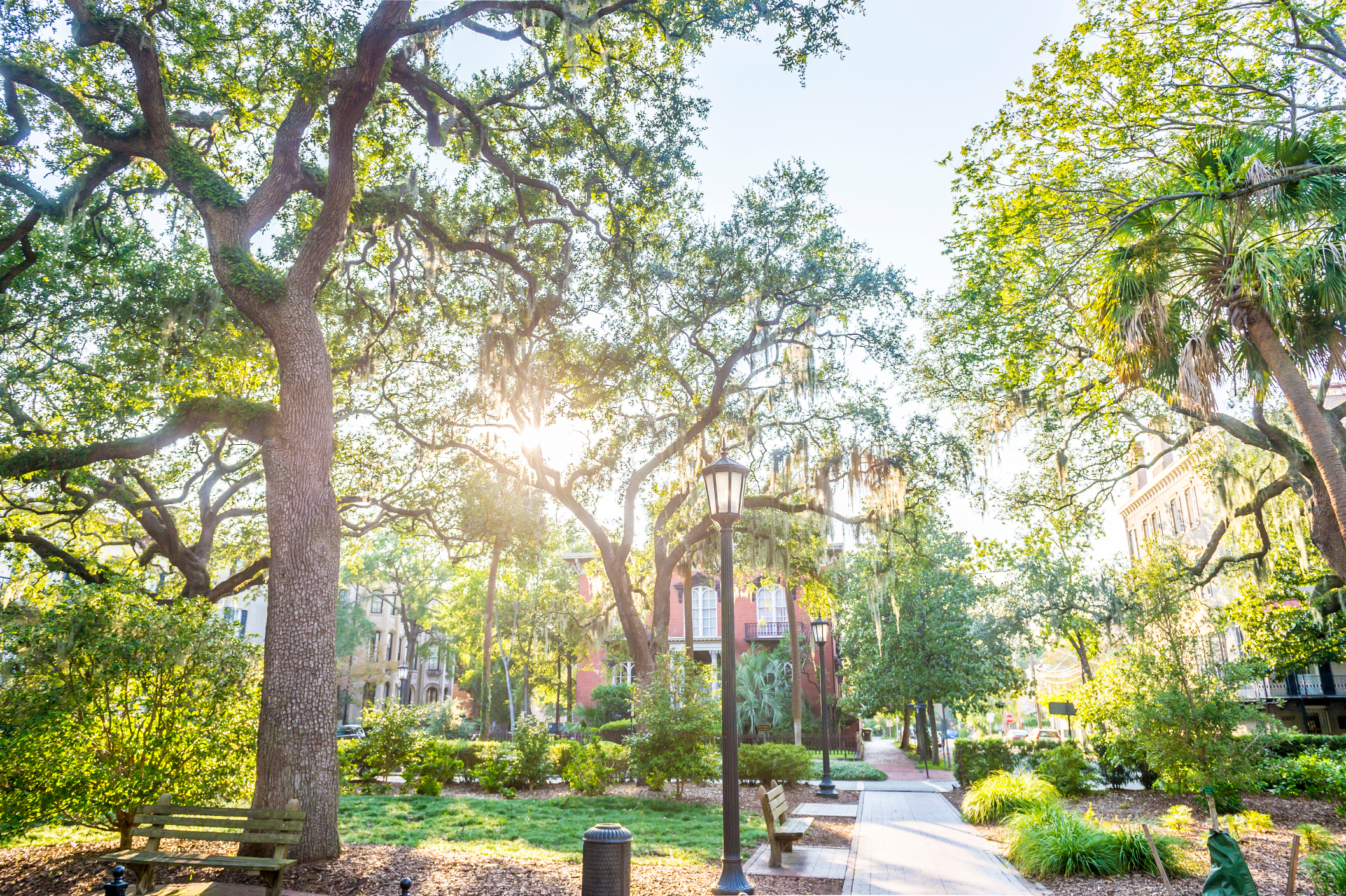 Bass Law, LLC in Savannah, GA