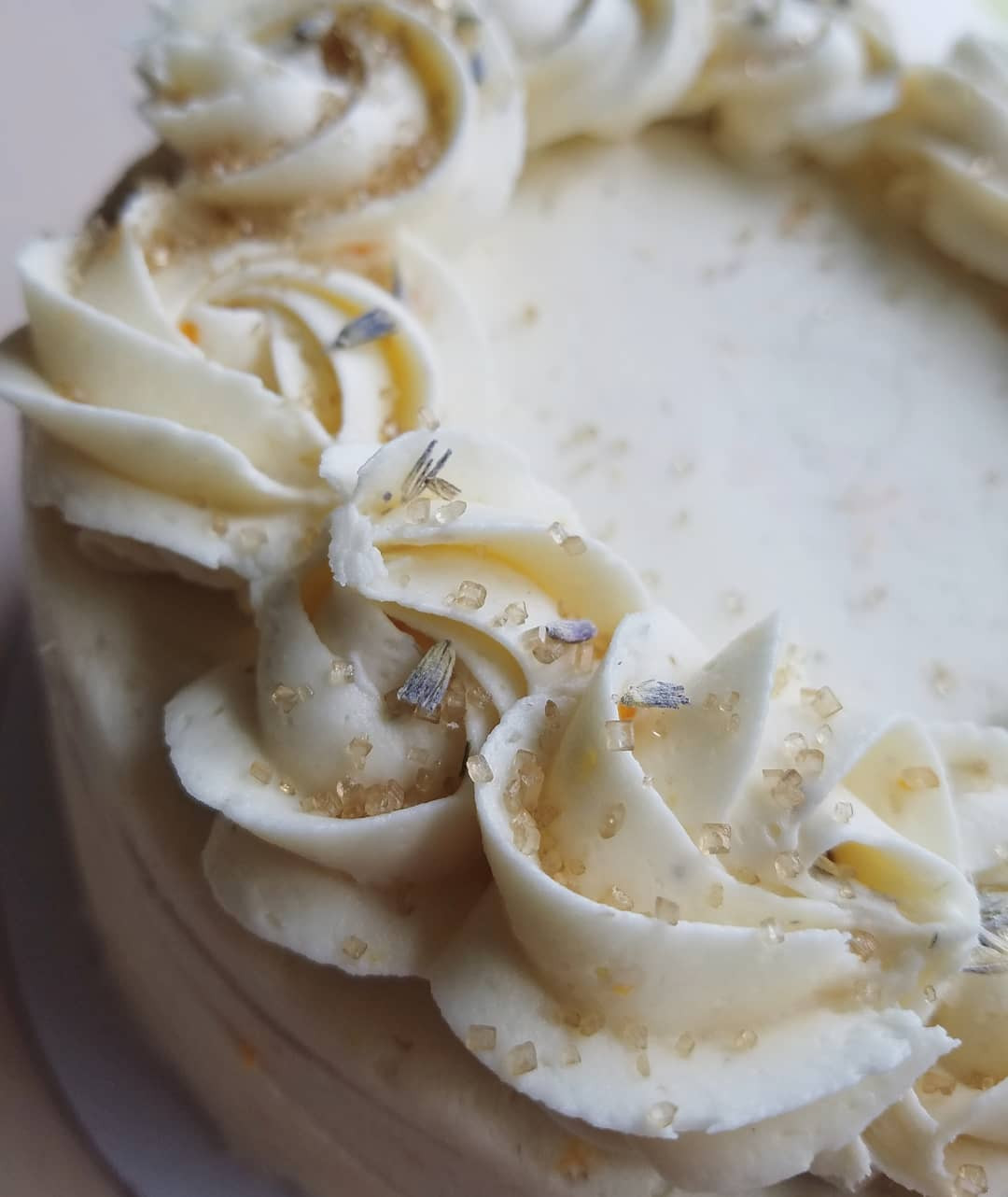 Black Squirrel Bake Shop in Madison, WI