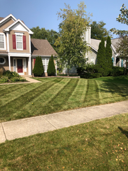 Distinctive Concepts Lawn & Landscape, LLC in Naperville, IL (2)
