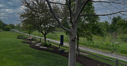 Distinctive Concepts Lawn & Landscape, LLC in Naperville, IL (3)