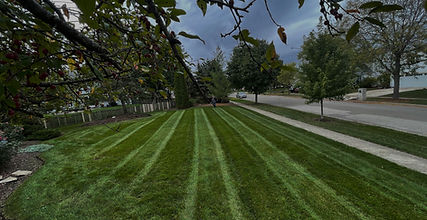 Distinctive Concepts Lawn & Landscape, LLC in Naperville, IL (5)