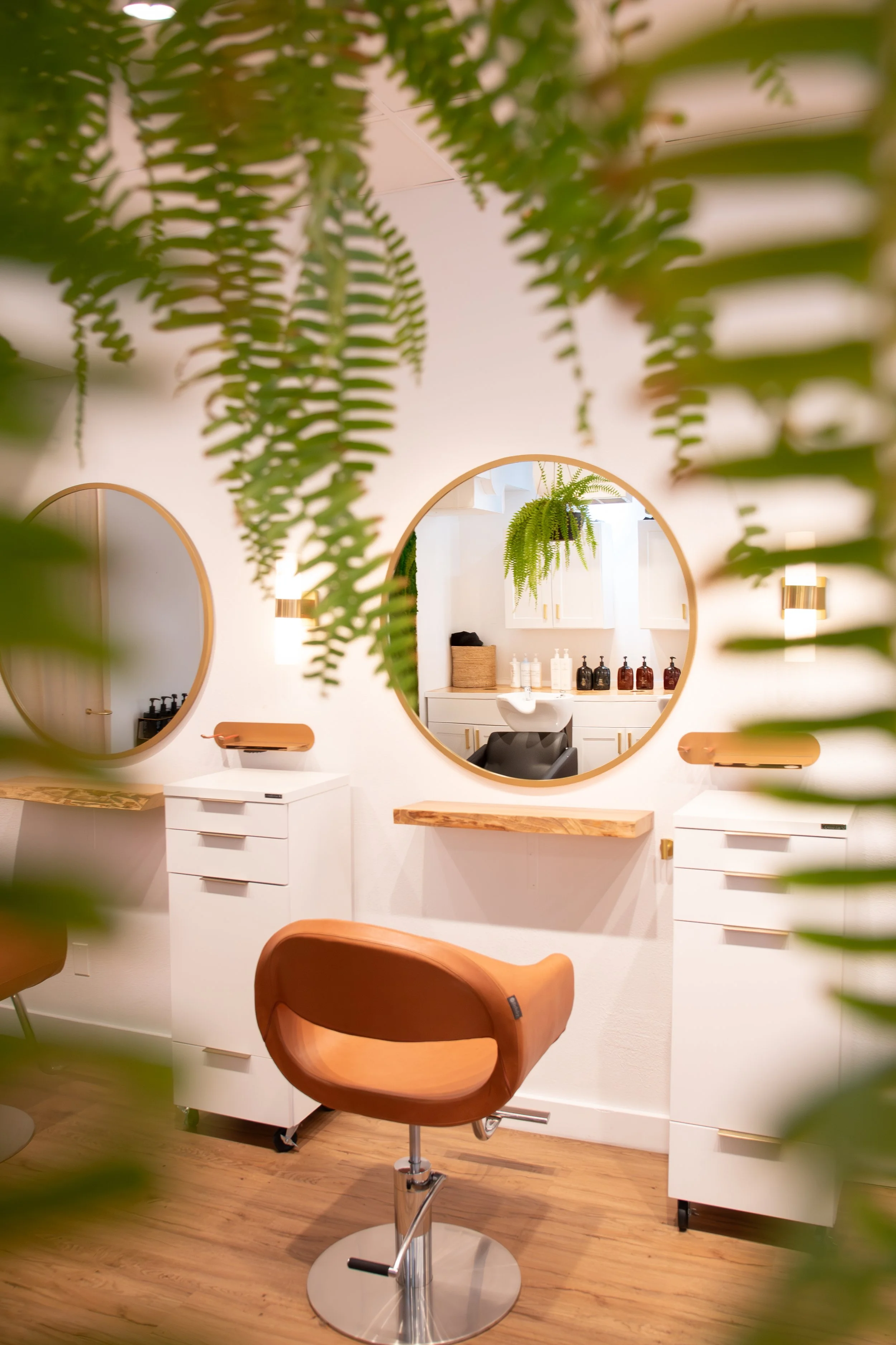 Ash Hair Co. in Mill Valley, CA