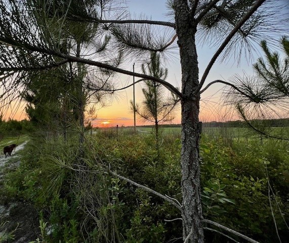 Hometown Realty of North FL Inc. in Bell, FL (6)