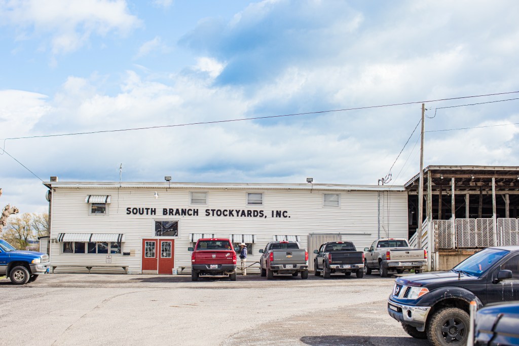 South Branch Valley Stockyards LLC in Moorefield, WV (5)
