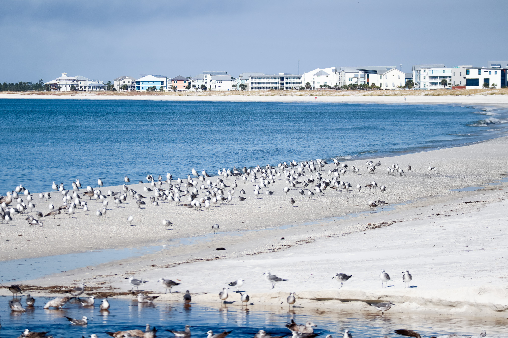 Mexico Beach in Mexico Beach, FL (2)