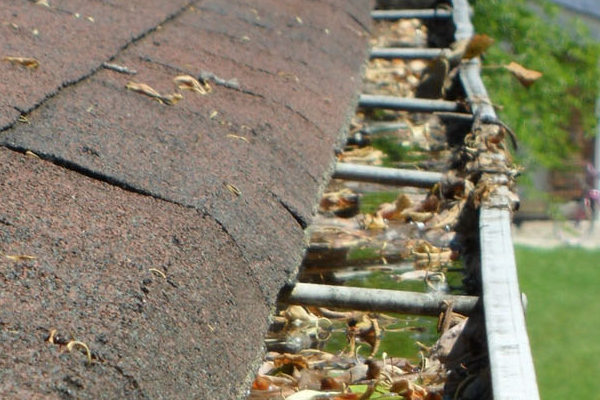 DIV Cleaning Service in Wood Green, NC (6)