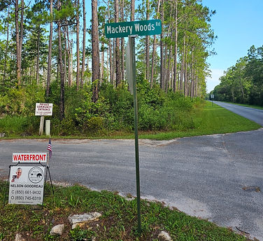Nelson Sells Florida's Forgotten Coast: Nelson Goodreau, REALTOR in Sopchoppy, FL (4)