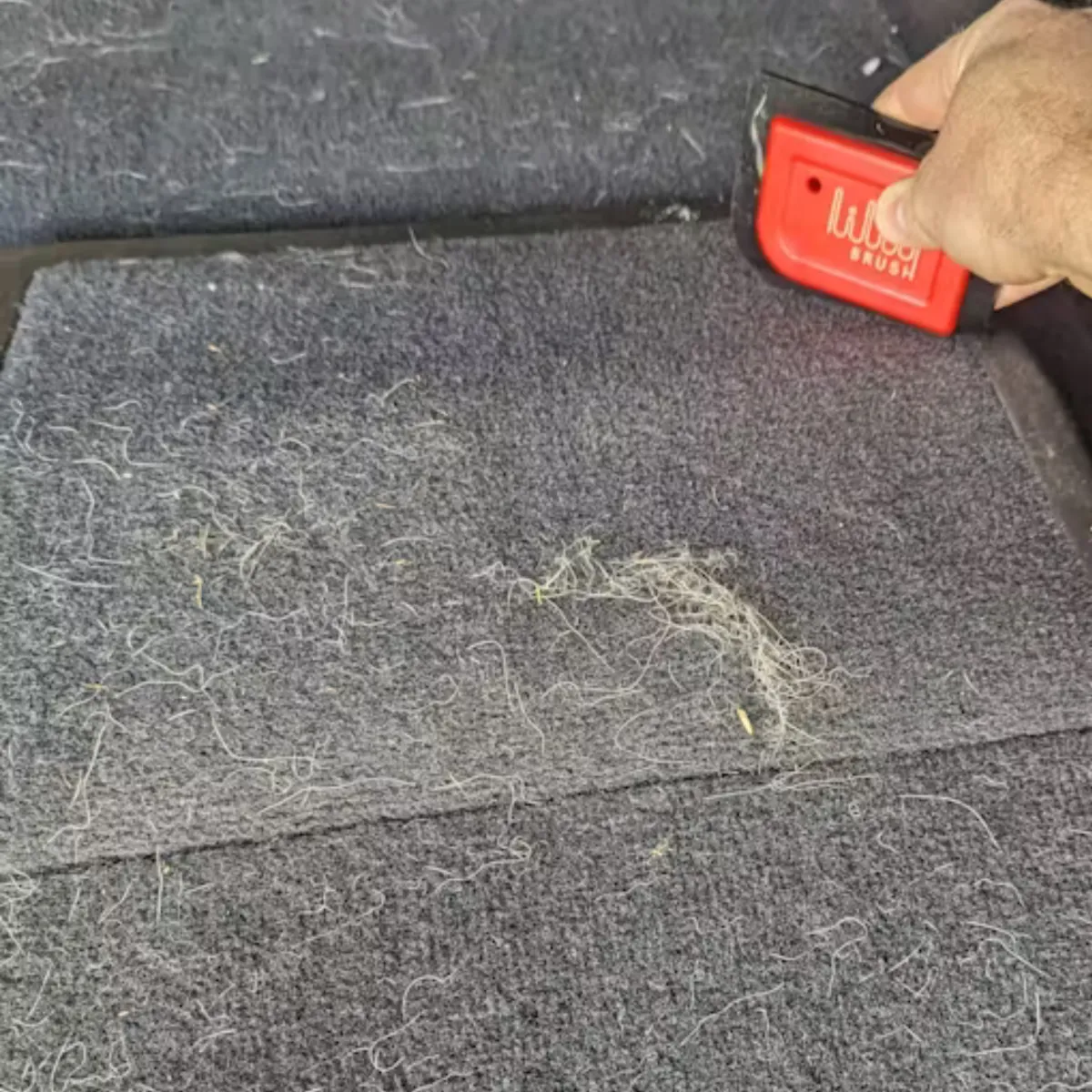 Rally Point Auto Detailing in Fort Mill, SC