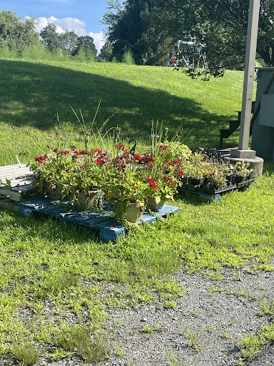 Dutch Country Farm Market in Spring City, PA (5)
