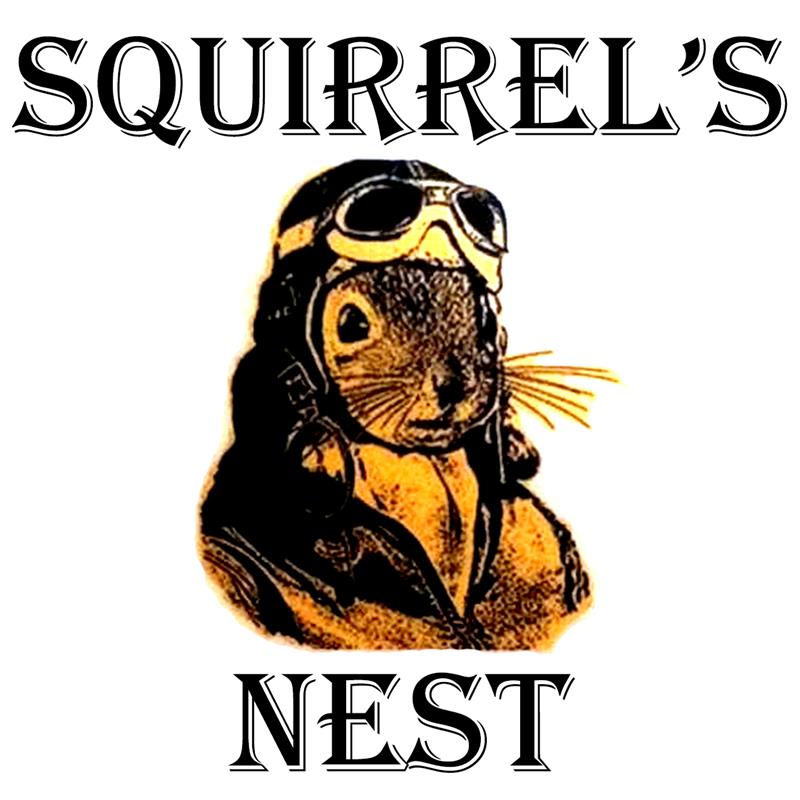 Squirrel's Nest in McFarland, WI (2)
