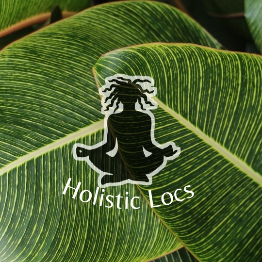 Holistic Locs in Stone Mountain, GA