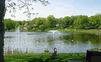 Dawn Ashnault - BHHS Fox & Roach Realtor in Watchung, NJ (5)