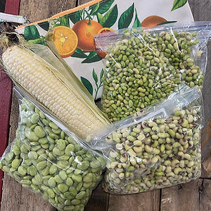 Farm To Family in St Marys, GA (3)