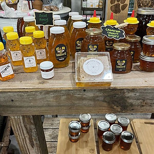 Farm To Family in St Marys, GA (4)
