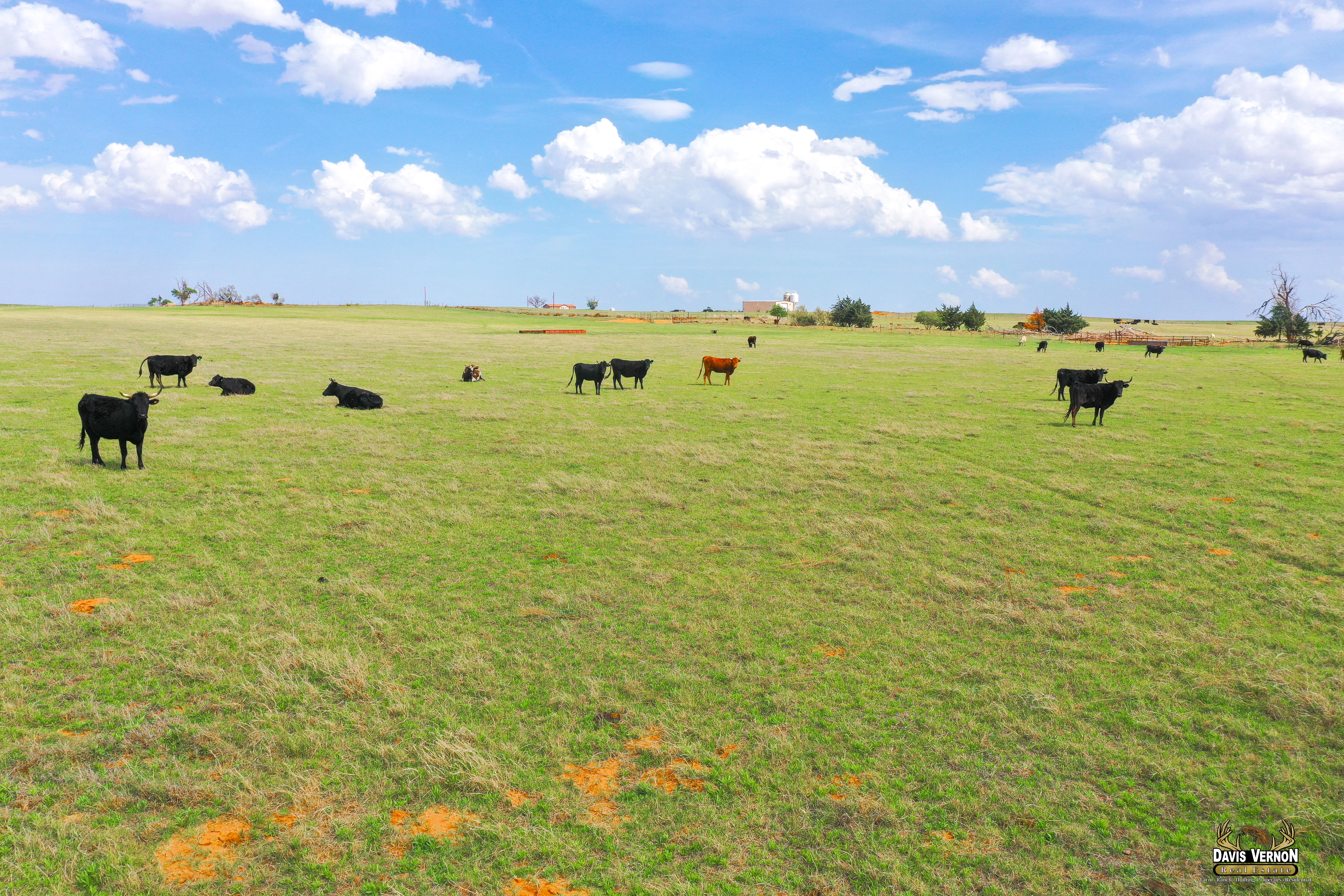 Randall Mints | Farm, Ranch, and Residential Agent in Vernon, TX (3)