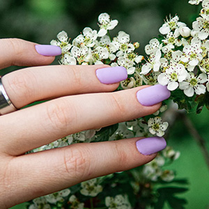 CC Nails Spa in Erie, PA (3)