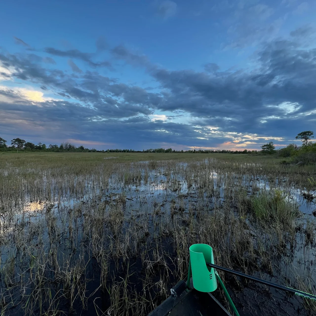 The Watering Hole FFHQ in Fellsmere, FL