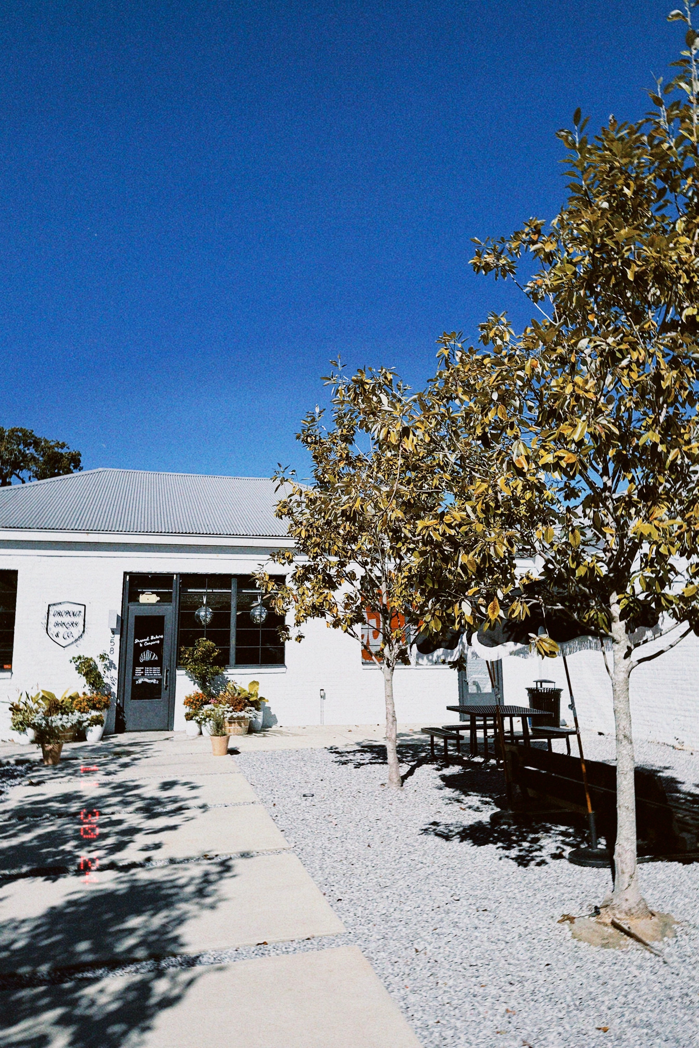 Dropout Bakery & Co. in Mobile, AL