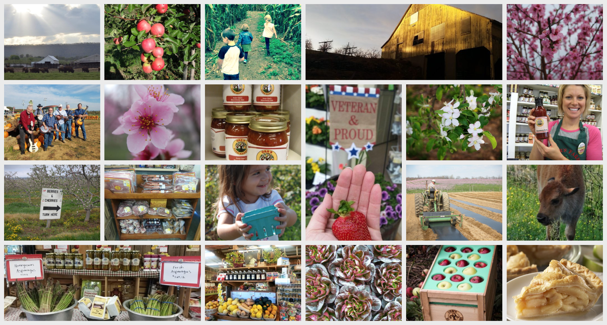 Orr's Farm Market in Martinsburg, WV