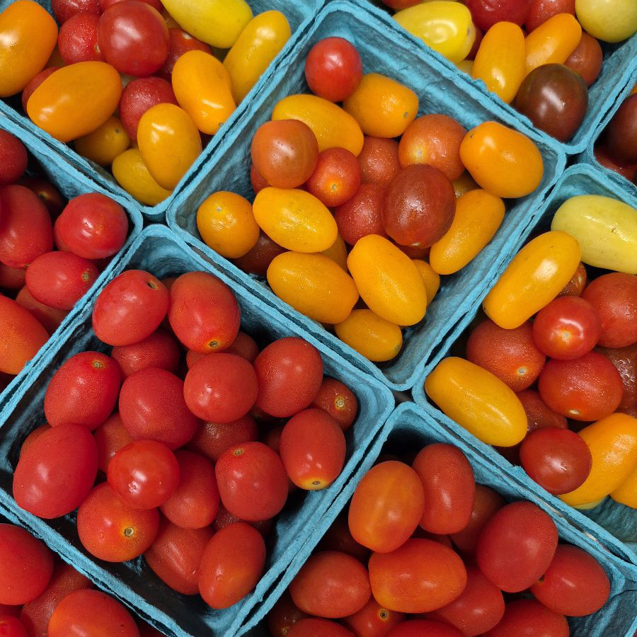 Orr's Farm Market in Martinsburg, WV (5)