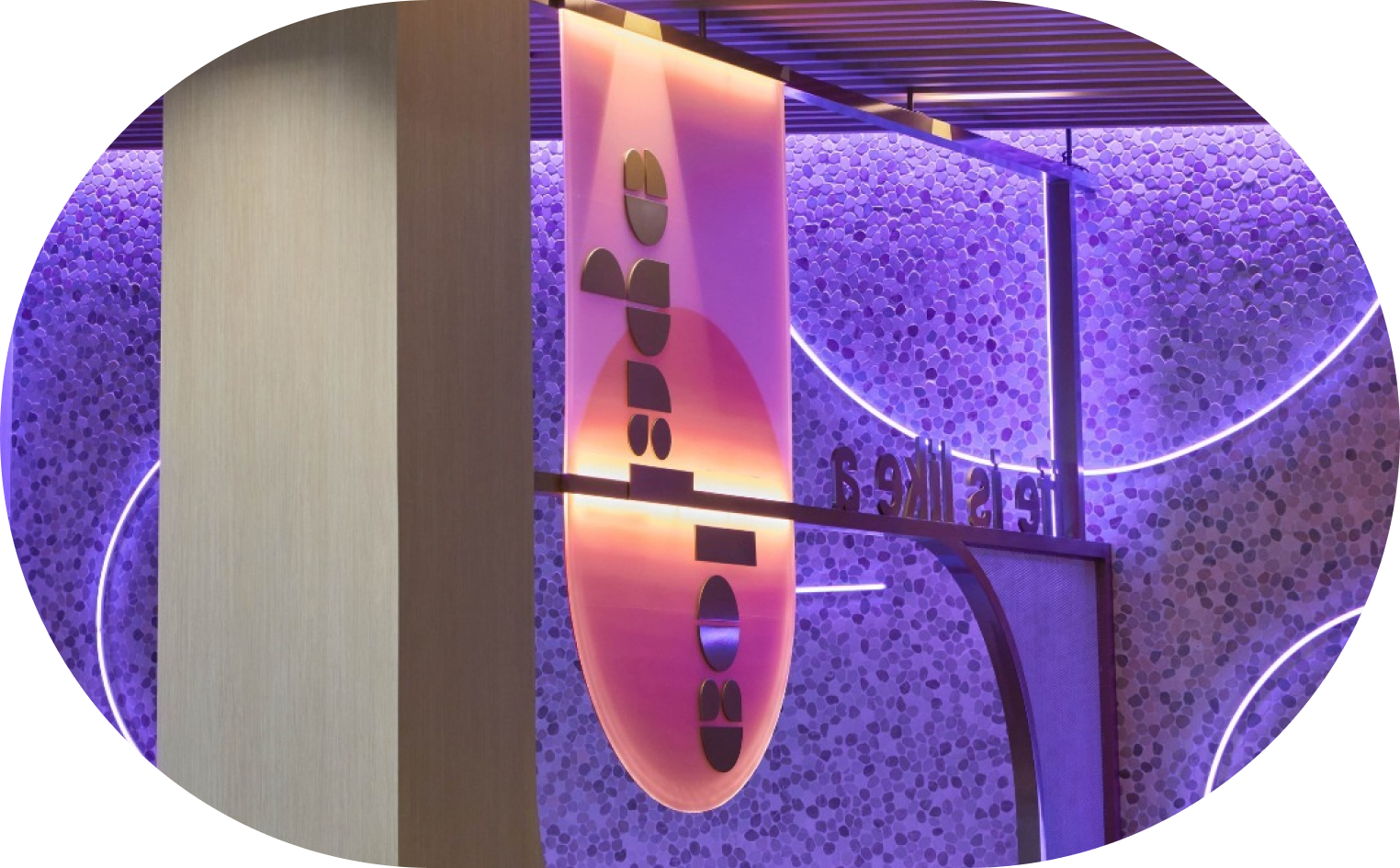 Collage Culinary Experience in Costa Mesa, CA (3)