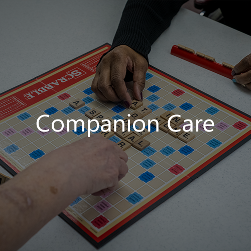 A Special Touch In-Home Care in South Charleston, WV (3)