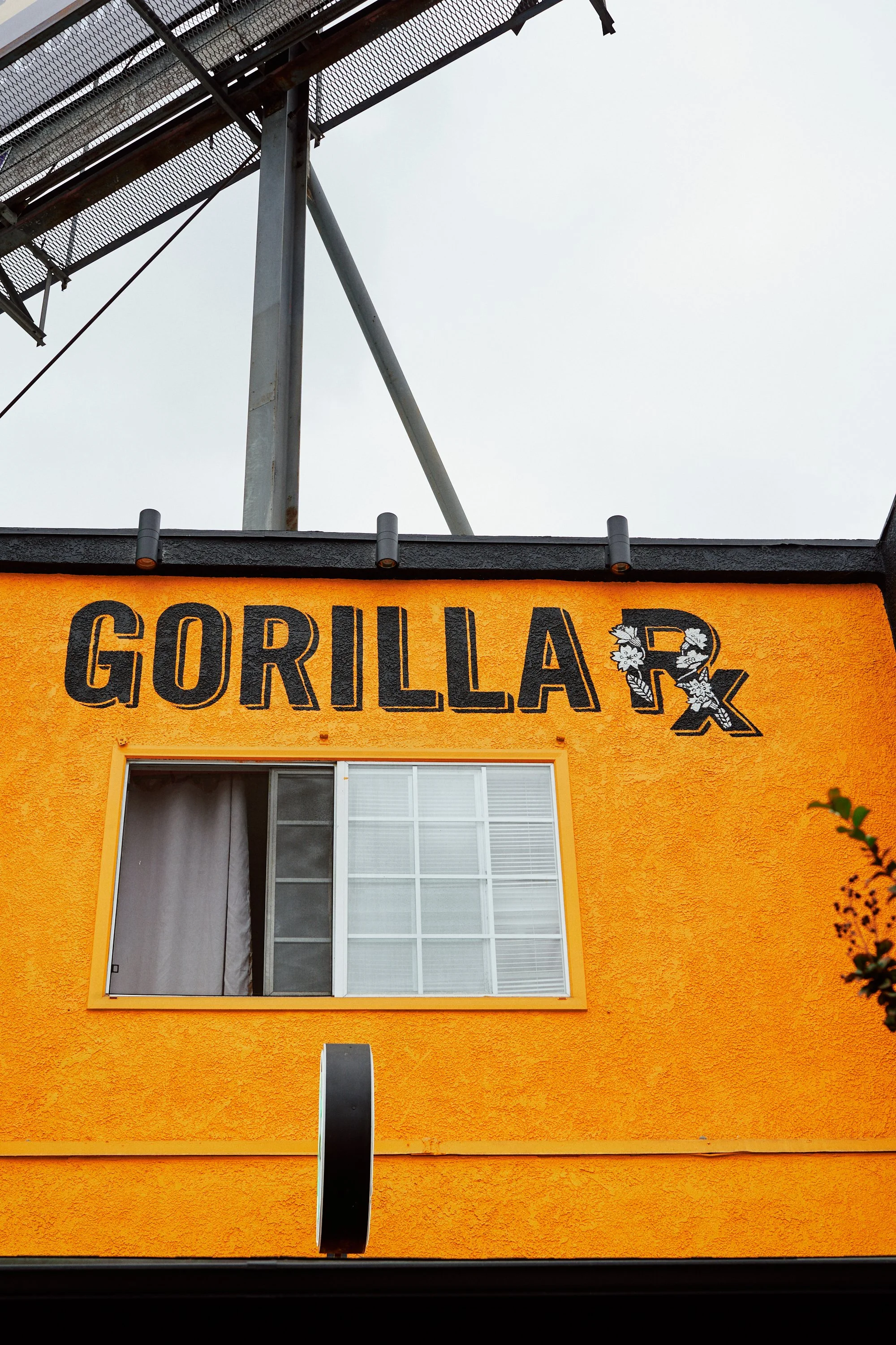 Gorilla Rx Wellness Co. in Los Angeles, CA