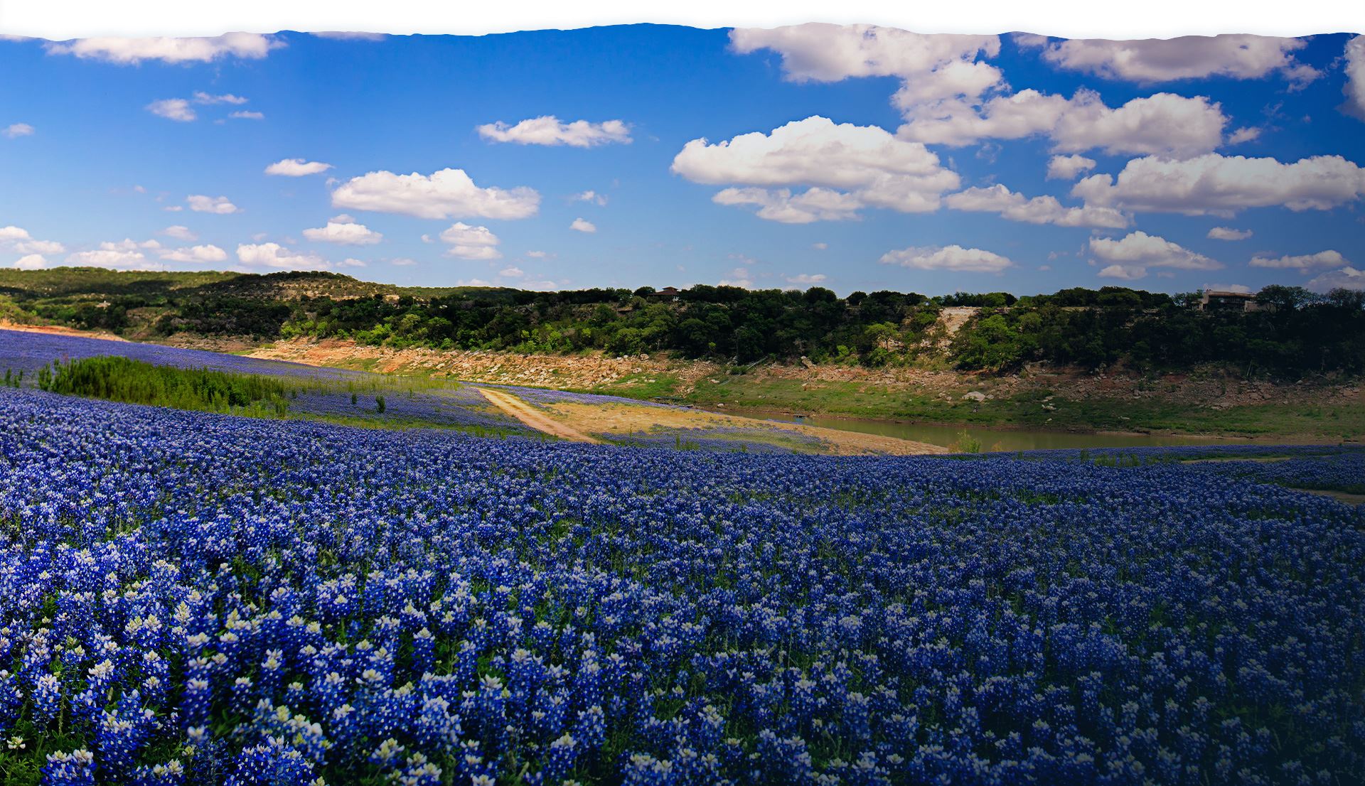Law Office of Nancy Perry Eaton, PLLC in Harker Heights, TX (4)